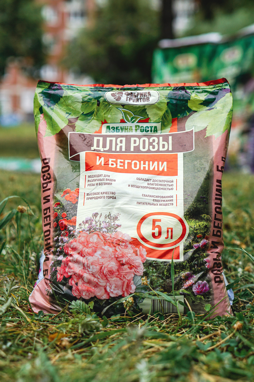 Торфяной грунт для розы и бегонии