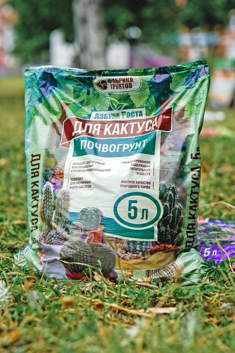 Торфяной грунт для кактуса Торфяной грунт для кактуса