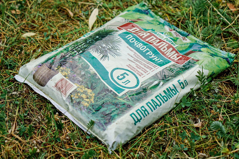 Торфяной грунт для пальмы Торфяной грунт для пальмы