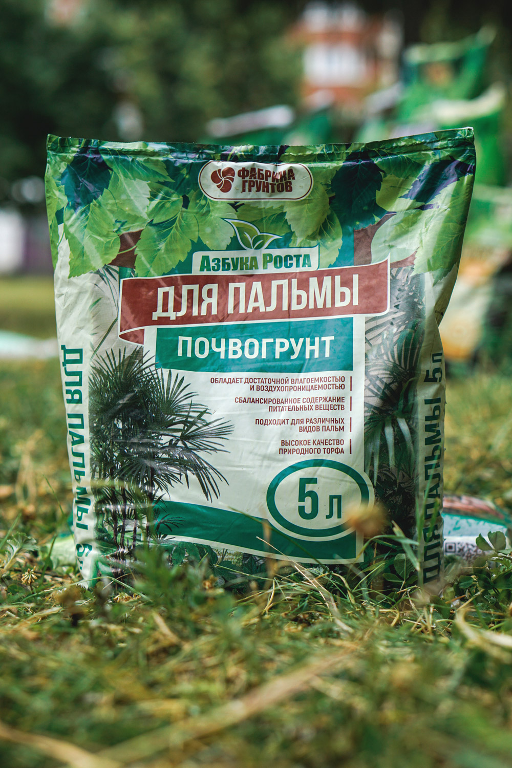 Торфяной грунт для пальмы Торфяной грунт для пальмы