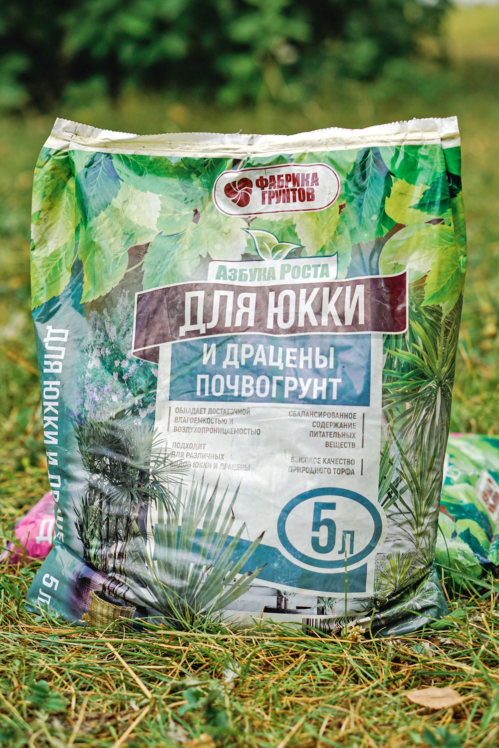 Торфяной грунт для юкки и драцены Торфяной грунт для юкки и драцены