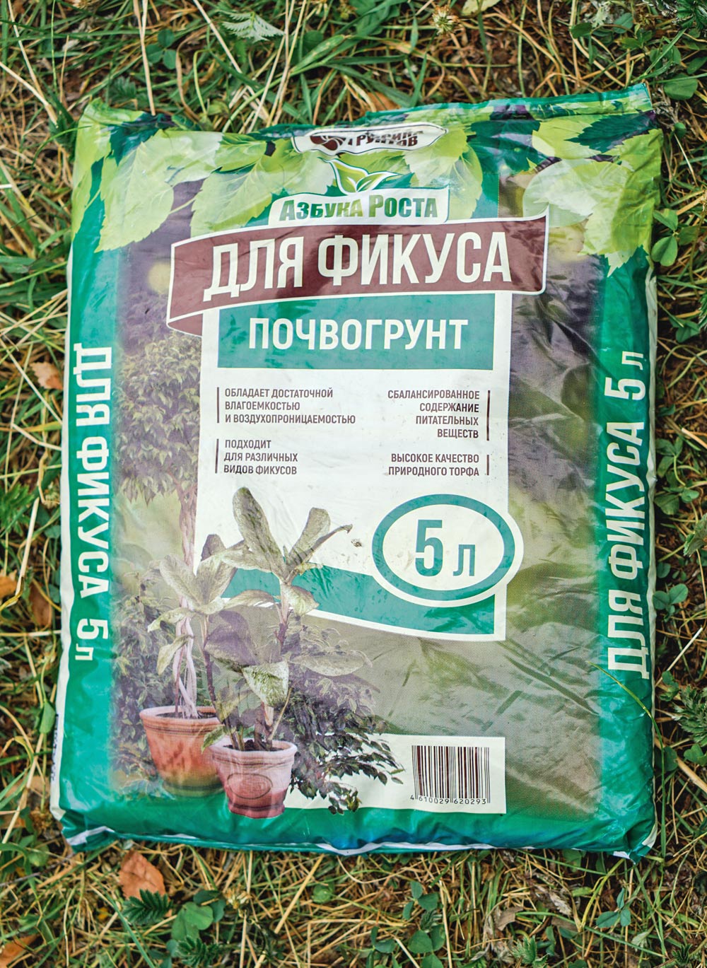 Торфяной грунт для фикуса Торфяной грунт для фикуса