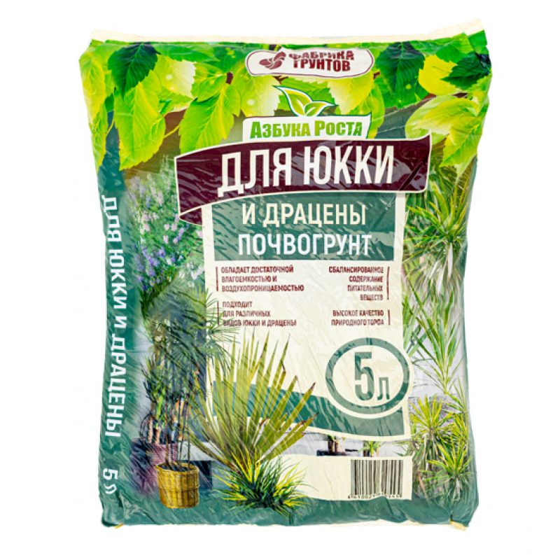 Почвогрунт для юкки и драцены