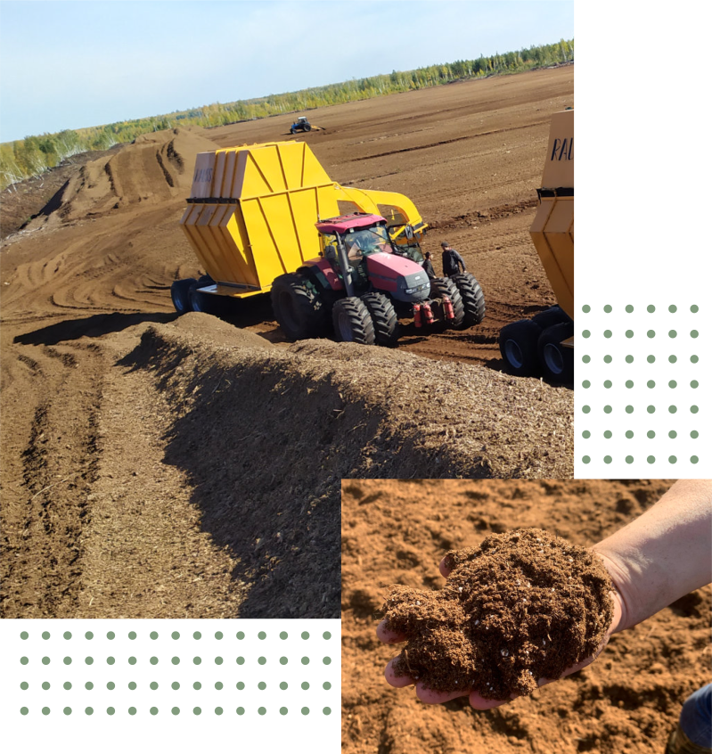 Оплата и доставка