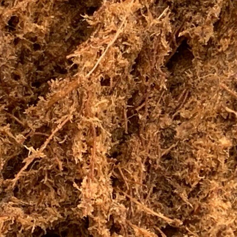 Выбираем грунт правильно