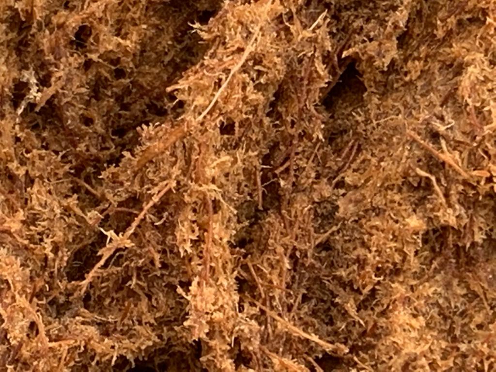 Выбираем грунт правильно