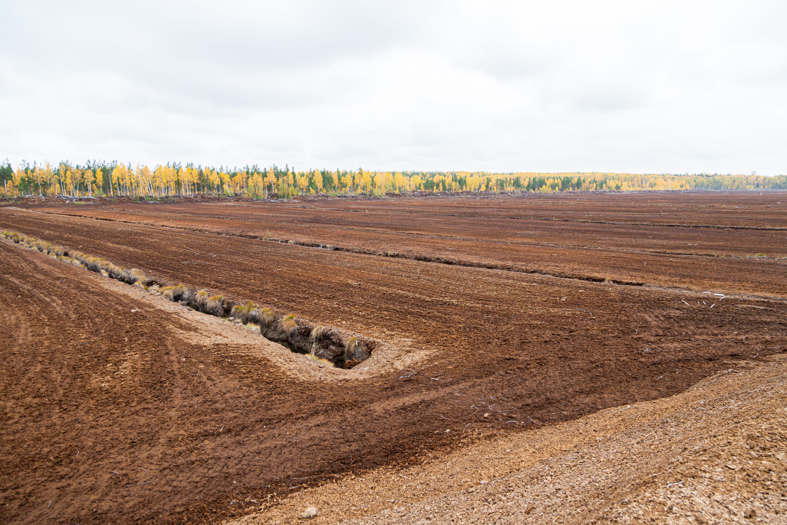 Добыча торфа